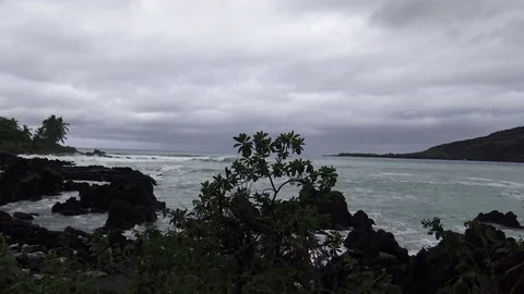 Waves crashing in background with lava rocks and plants Video stock 81677160