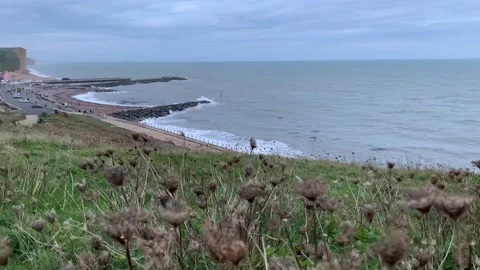 Waves crashing on the beach from a distance. Stock-Footage 219890569