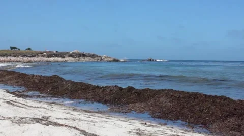 Waves Crashing on Beach. Stock Footage 56360709