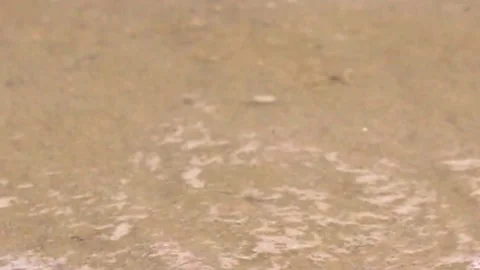 The waves crashing on the beach. Stock Footage 268883613