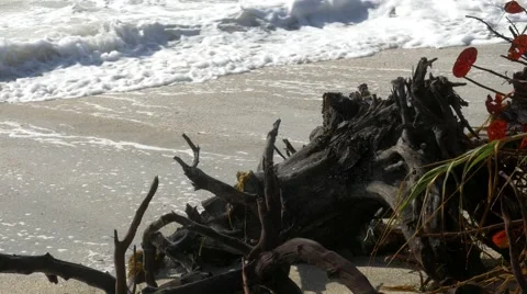 Waves crashing on beach hitting driftwood, 4K Stock Footage 48430623