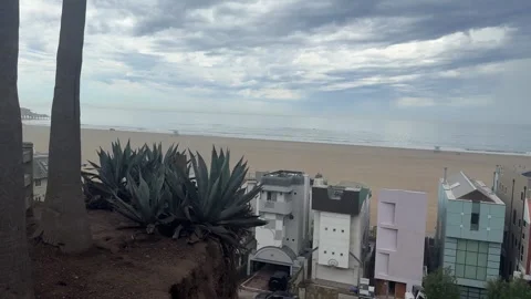 Waves crashing on a beach with palm trees and a distant pier, Santa Monica Stock Footage 345265814