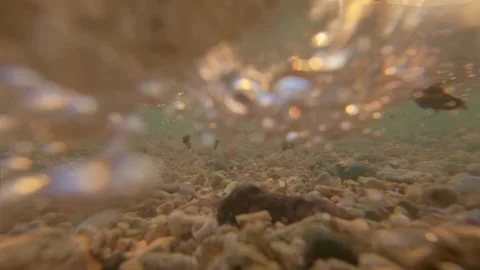 Waves Crashing on Beach at Sunset. Slowmotion Stock Footage 308994075