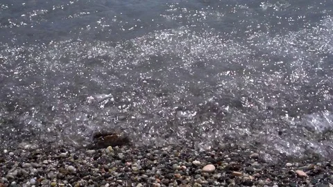 Waves crashing down on shiny rocks Video stock 79037760