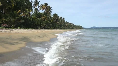 Waves crashing on empty tropical beach with palm tress dense jungle landscape Video stock 276806008