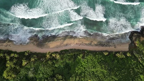 Waves crashing on empty tropical beach with palm tress dense jungle landscape Stock Footage 276862187