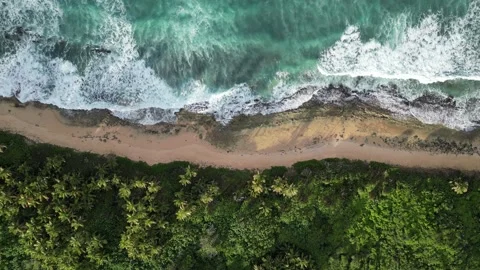 Waves crashing on empty tropical beach with palm tress dense jungle landscape Video stock 276867348