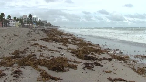 Waves crashing Stock Footage 142969696
