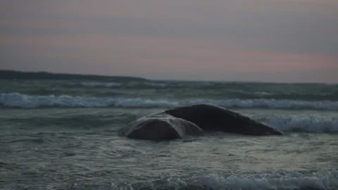 Waves crashing intro rock Stock Footage 159725016