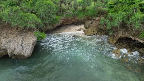 Waves crashing into Mangroves Stock Footage 263565391