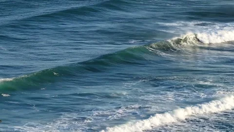 Waves Crashing at Neskowin Ghost Forest and Haystack Rock Stock Footage 303465314