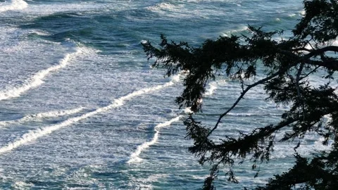 Waves Crashing at Neskowin Ghost Forest and Haystack Rock Stock Footage 303465403