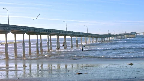 Waves Crashing at Ocean Beach Pier Stock Footage 101503392