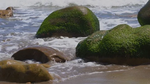 Waves crashing over moss covered ocean rocks Stock Footage 112640223