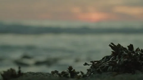 Waves Crashing Over Rock Formations In Slow Motion At Sunset Video Stock Footage 273559509