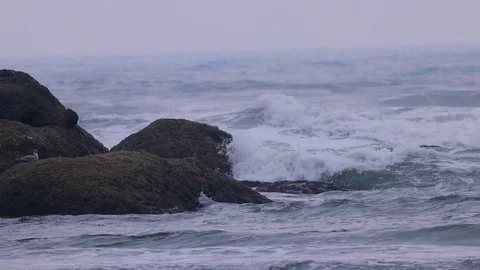 Waves crashing over rocks Stock Footage 100578466