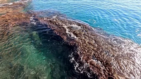 Waves Crashing Over A Rocky Reef In The Blue Ocean Video stock 336360686