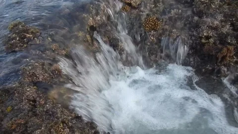 Waves crashing on a reef - 002-Ftg-001 - Anyer Reef Crevice 1 Stock Footage 79946563