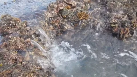 Waves crashing on a reef - 005-Ftg-002 - Anyer Reef Crevice 2 Stock Footage 79979999