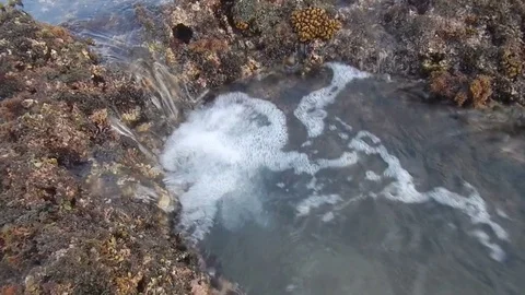 Waves crashing on a reef - 006-Ftg-003 - Anyer Reef Crevice 3 Stock Footage 79989089