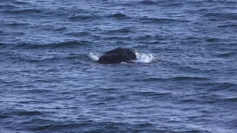 Waves crashing on a rock 動画素材 78138038