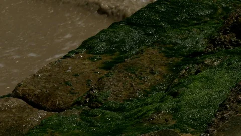 Waves crashing on rocks Stock Footage 73890431