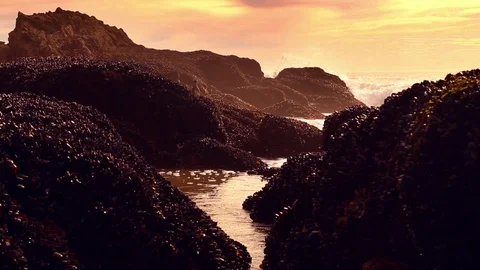 Waves Crashing on Rocks Video stock 85920169