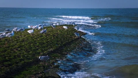 Waves crashing on the rocks Video stock 285265814