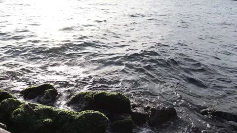 Waves Crashing Rocks (Slowmotion) Stock Footage 167802396