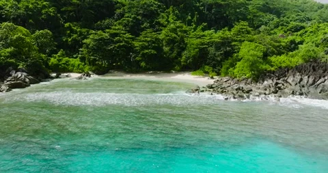 Waves crashing on rocks by a tropical forest. Seychelles, Mahe. Stock Footage 345409430
