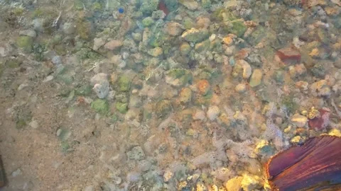 Waves Crashing on Rocky Shoreline. Slow motion 스톡 동영상 303693353