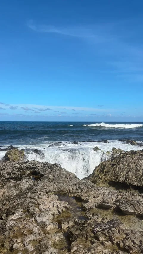 Waves Crashing into Rocky Tidal Pool, Barbados Caribbean Stock-Footage 337972646
