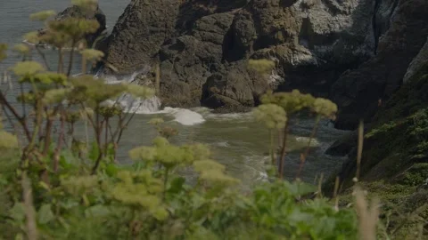 Waves crashing on rugged rocks Stock Footage 262792700
