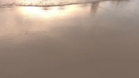 Waves crashing into sand reflecting surface saw trees and light on beach Stock Footage 221214124