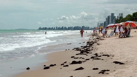 Waves crashing to sandy beach at Boa Viagem in Recife, Brazil Stock Footage 77084816