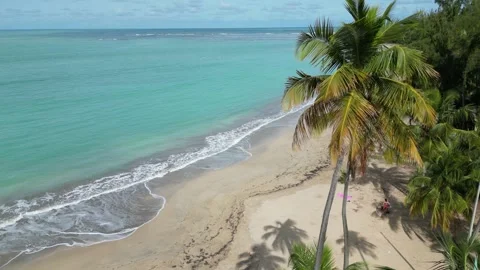 Waves crashing on sandy beach in puerto rico (luquillo surf coast coastline) Video stock 277844094