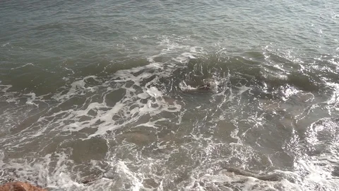 Waves crashing in slow motion against the rock Stock Footage 124694550