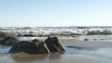 Waves crashing at some rocks on the beach – low angle Video stock 122983534