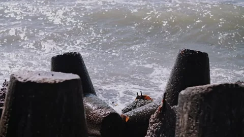 Waves Crashing on Tetrapods, Close-Up Stock Footage 321059486