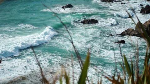 Waves Crashing through grass blowing in the wind Stock Footage 260850506