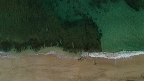 Waves Crashing on White Sandy Beach with Turquoise Blue Water in Hawaii Stock Footage 195065744