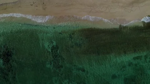 Waves Crashing on White Sandy Beach with Turquoise Blue Water in Hawaii Stock Footage 195066729