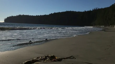 Waves crushing on shore Video stock 79547289