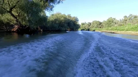 Waves on danube Delta channel Stock Footage 80801241