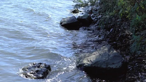 The waves on the Danube Stock Footage 116266129