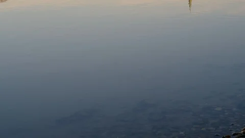 Waves at the danube river Stock Footage 126527843