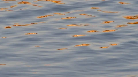 Waves on the danube river Stock Footage 126529026