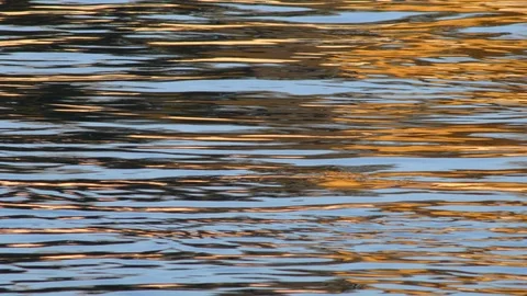 Waves on the danube river Stock Footage 126529523