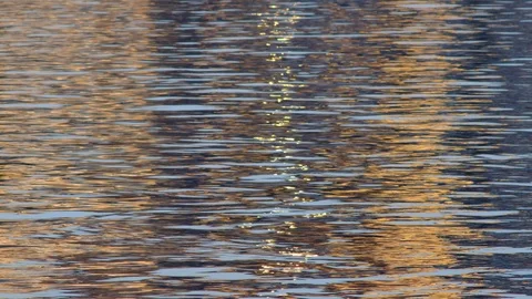 Waves on the danube river Stock Footage 126529820