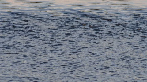Waves at the danube river 스톡 동영상 126756192
